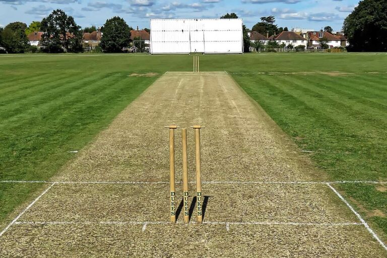 Analyzing cricket pitch report for fantasy team selection