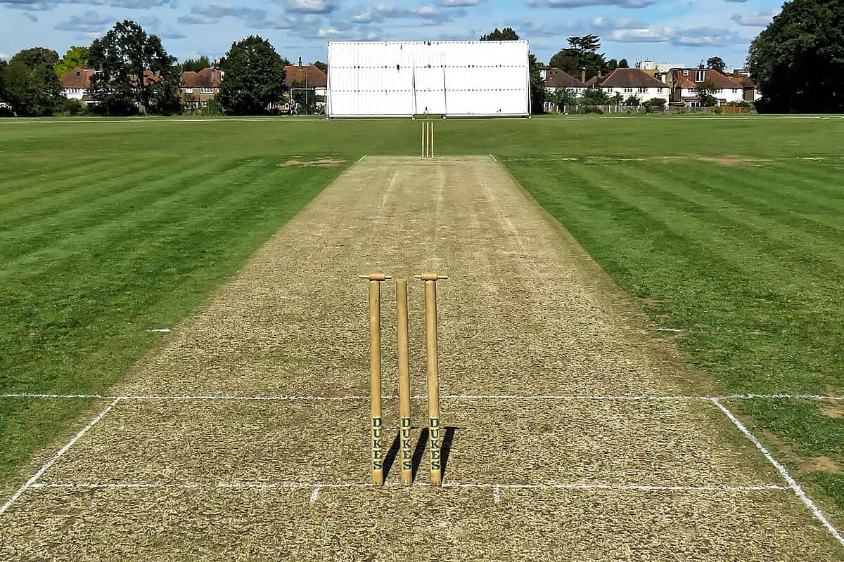 Analyzing cricket pitch report for fantasy team selection